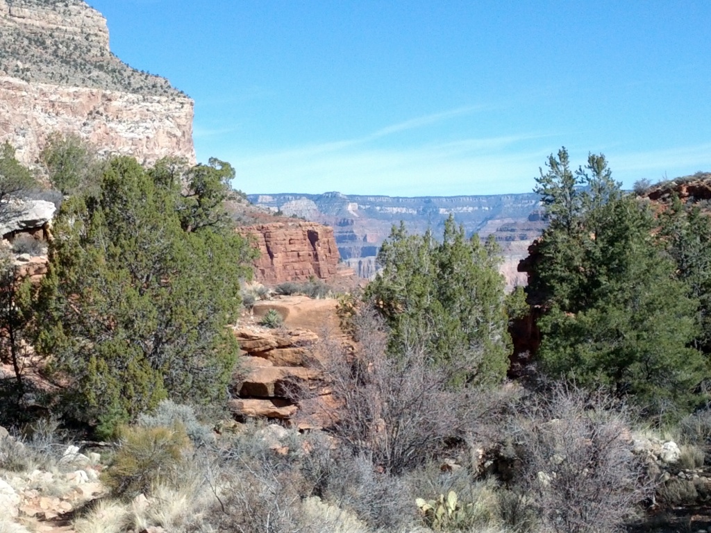 IMG_20130314_100111.jpg